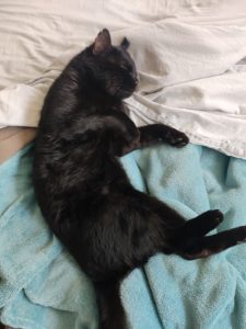 1675331697507 (Small)