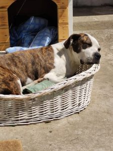 1675331796100 (Small)