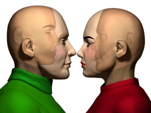 Projektivna identifikacija