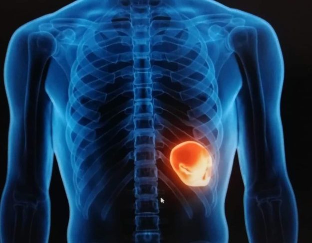 bubrezi psihosomatika